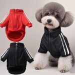 Luxury Zipper Designer Dog Sweater & Denim-Style Jacket – Custom Letter Print Pet Apparel (Wholesale)