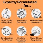 OEM Natural Probiotic Soft Chew Supplement for Dogs Supports Digestive & Immune Health Premium Pet Health Care Supplement - Image 2