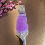 Designer Winter Knitted Wool Pet Sweater – Cold-Proof Fleece Apparel for Small & Medium Dogs and Cats (Wholesale) - Image 3