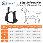 LED Light No-Pull Tactical Dog Harness – Reflective Breathable Heavy-Duty Training Harness (Wholesale) - Image 3