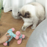 Wholesale Colorful Dog Chew Squeaky Toy – Sound Paper Interactive Pet Toy (Custom Colors) - Image 3