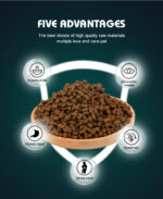 OEM ODM Pet Food Various Flavors Multiple Shapes Dry Pet Dog Food Bulk Dog Food - Image 3