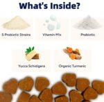 OEM Natural Probiotic Soft Chew Supplement for Dogs Supports Digestive & Immune Health Premium Pet Health Care Supplement - Image 3