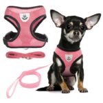 Vest-Style Breathable Mesh Pet Harness with Traction Rope – Dog & Cat Chest Back Harness (Wholesale) - Image 4