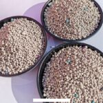 Premium Mixed Bentonite Cat Litter – High Clumping, Low Dust, Anti-Odor Sand for Multi-Cat Homes (Wholesale) - Image 4