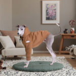 Custom Luxury “Love My Whippet” Dog Hoodie – Cotton-Polyester Spring Apparel for Whippets & Greyhounds (Wholesale) - Image 4