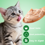 Plant Supplier 15g OEM ODM Natural Tuna Wholesale Cat Strips Snacks Treats Pet Wet Food - Image 4