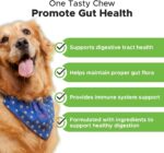 OEM Natural Probiotic Soft Chew Supplement for Dogs Supports Digestive & Immune Health Premium Pet Health Care Supplement - Image 4