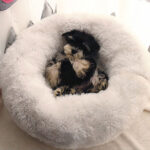 Super Soft Plush Round Donut Pet Bed – Washable Fluffy Cushion for Dogs & Cats (Wholesale) - Image 4