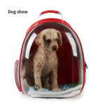 Wholesale Capsule Transparent Pet Travel Carrier – Colorful Outdoor Cat & Dog Transport Bag - Image 5