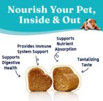 OEM Natural Probiotic Soft Chew Supplement for Dogs Supports Digestive & Immune Health Premium Pet Health Care Supplement - Image 6